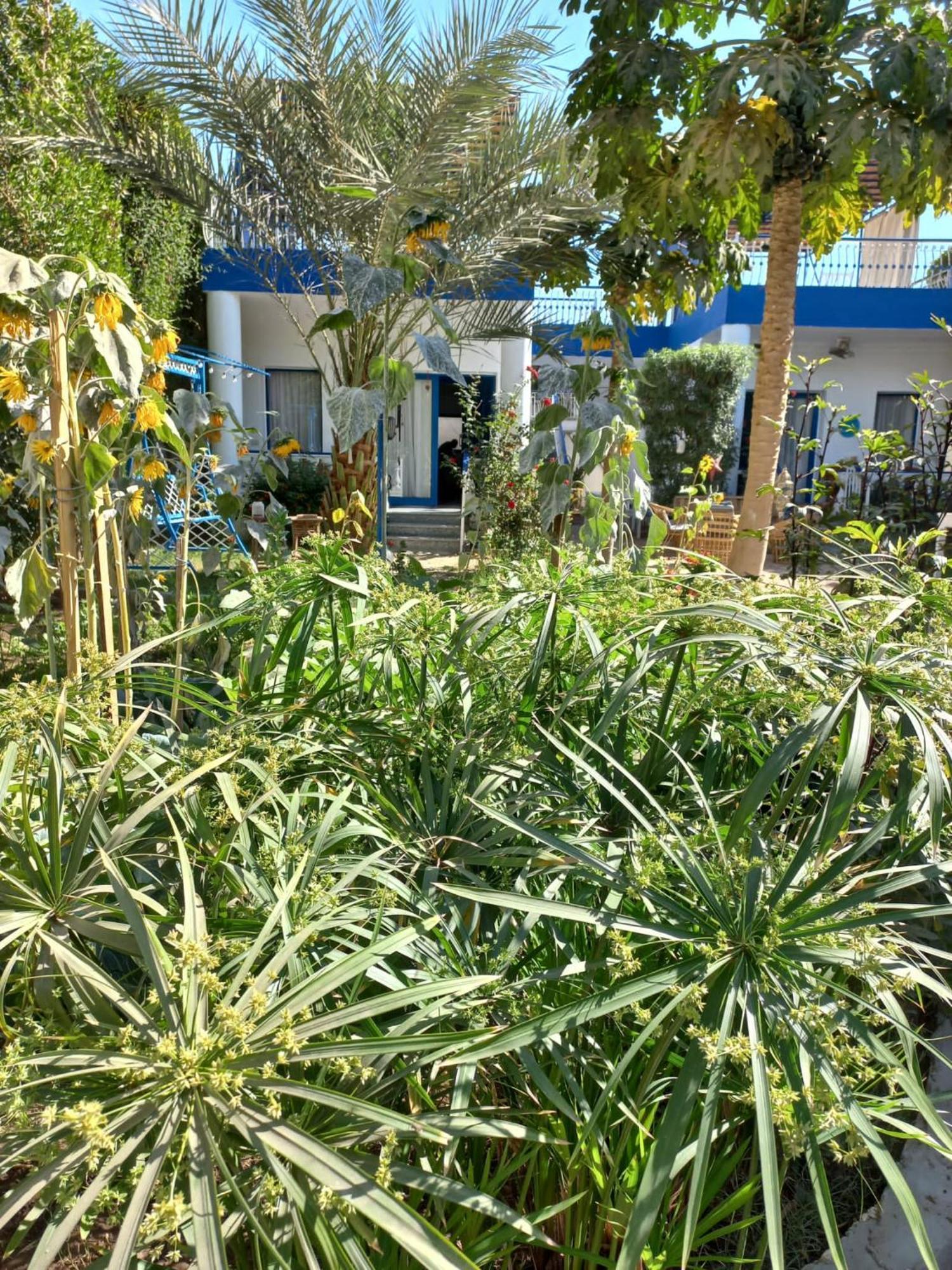 Villa Kaslan Apartments Luxor Kültér fotó