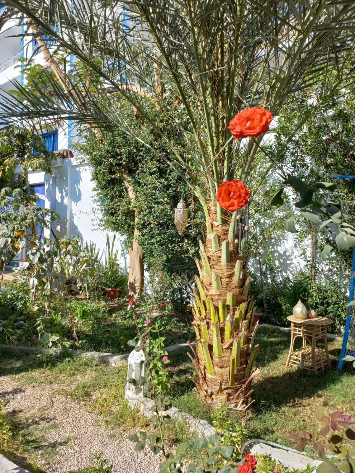 Villa Kaslan Apartments Luxor Kültér fotó
