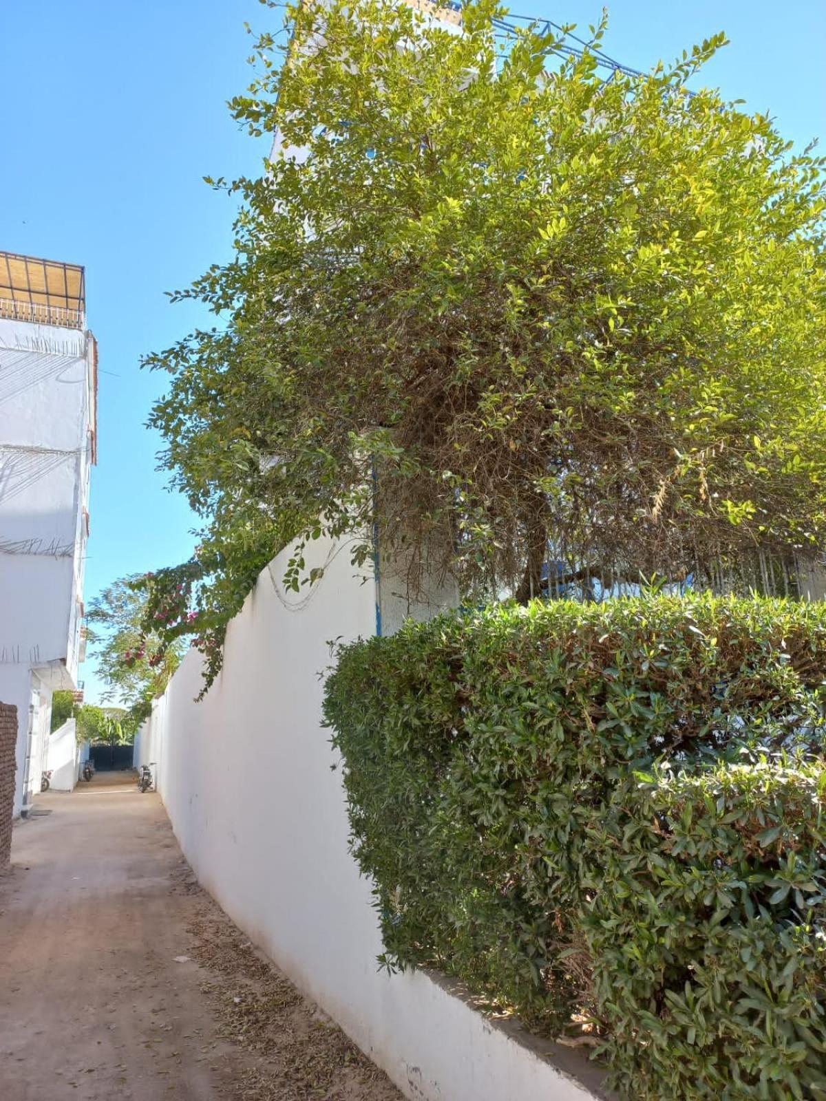 Villa Kaslan Apartments Luxor Kültér fotó